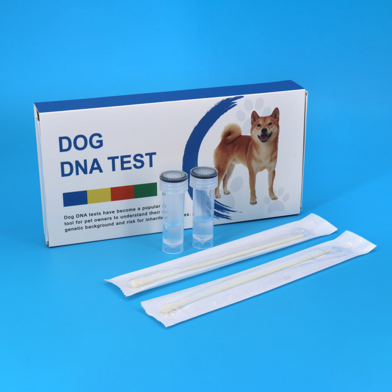 A Step-by-Step Guide to Using a Dog DNA Test Kit 1 IMG 97791